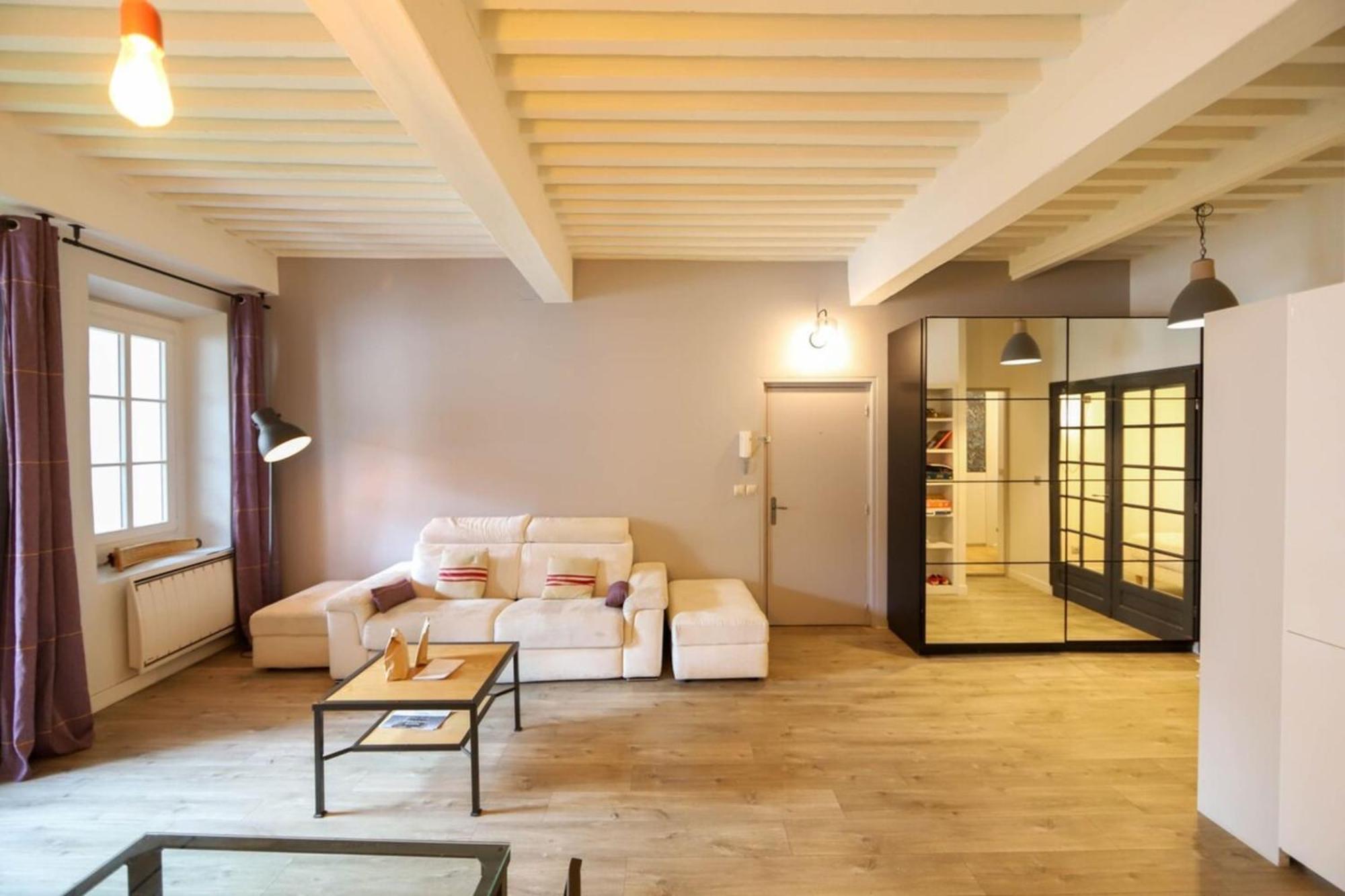 55 M2 Apart With Big Terrace In Annecy Downtown Exterior foto